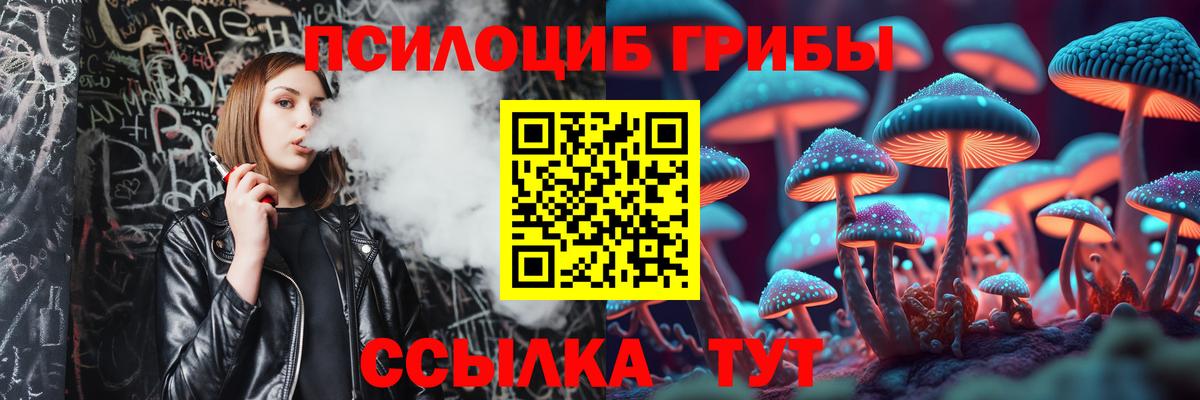Псилоцибиновые грибы Cubensis Урай